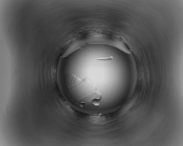 X0000088130281200705211122