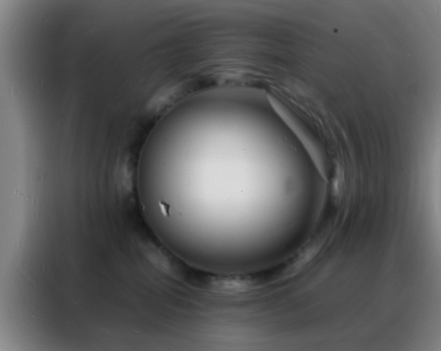 X0000088130282200705211122