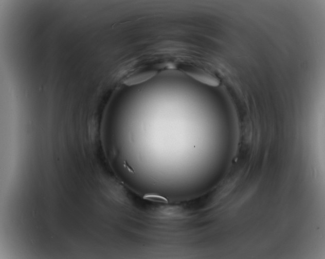 X0000088130283200705211122