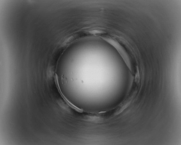 X0000088130284200705211122