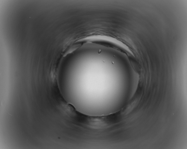 X0000088130285200705211122