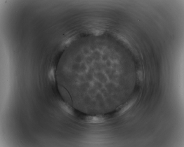 X0000088130286200705211122