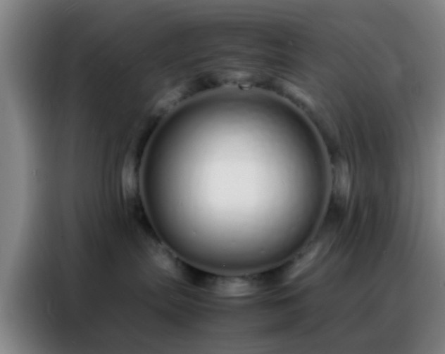 X0000088130287200705211122