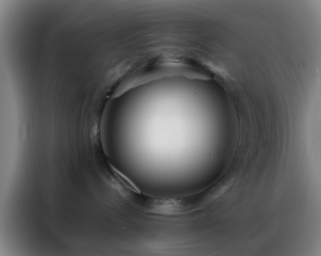 X0000088130288200705211122