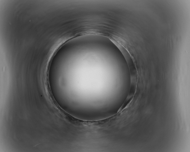 X0000088130289200705211121