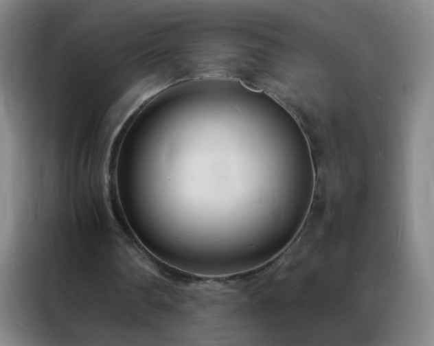 X0000088130290200705211121