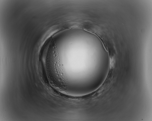 X0000088130291200705211121