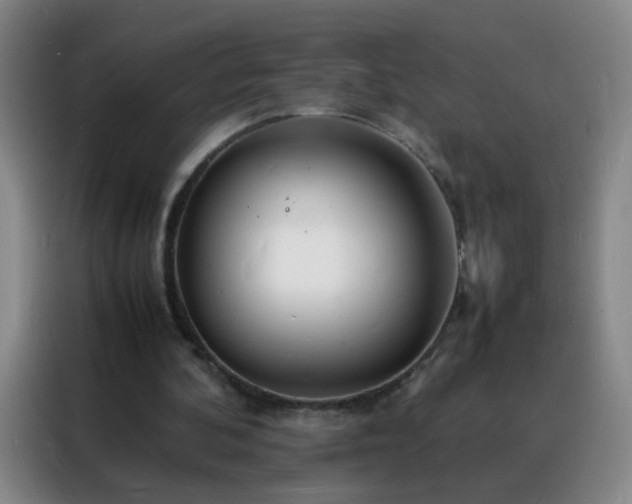 X0000088130292200705211121