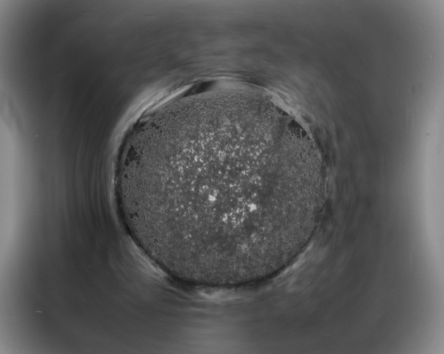 X0000088130293200705211121