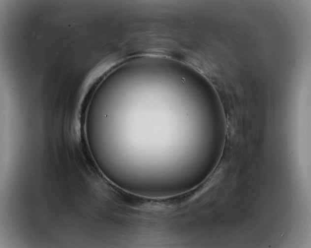 X0000088130294200705211121