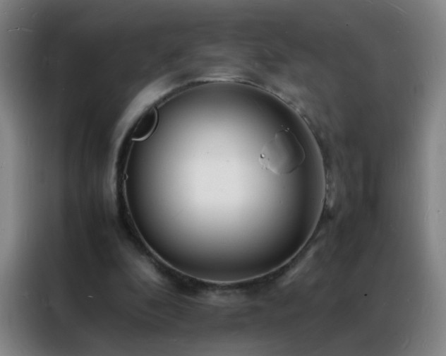 X0000088130296200705211121