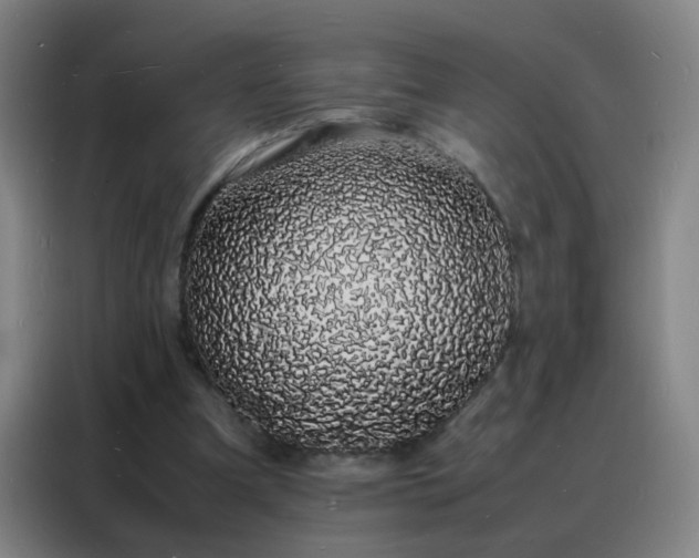 X0000088130297200705211121