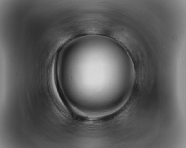 X0000088130299200705211121