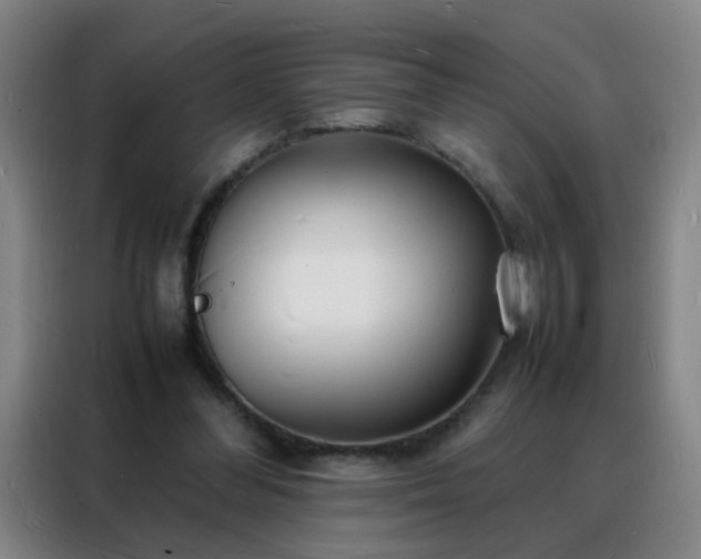 X0000088130300200705211121