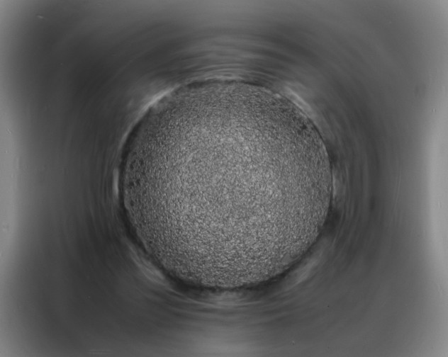 X0000088130301200705211121