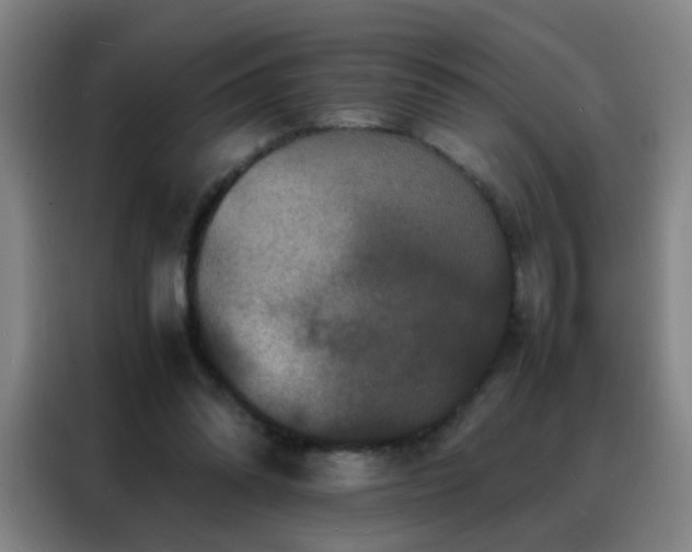 X0000088130302200705211121