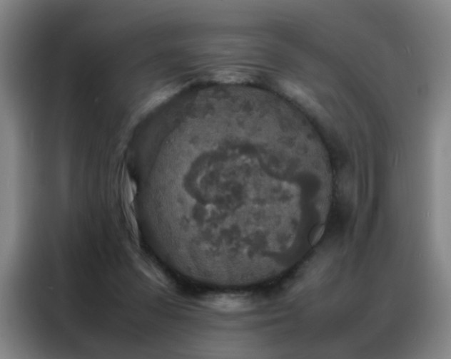 X0000088130303200705211121