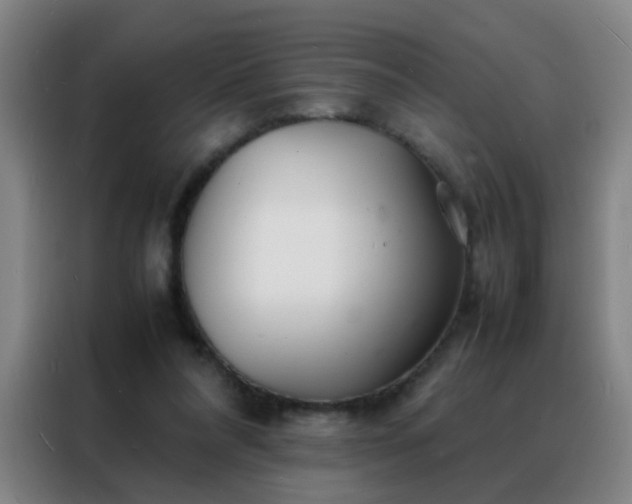 X0000088130304200705211121