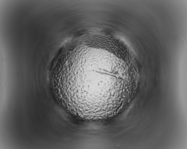 X0000088130305200705211121