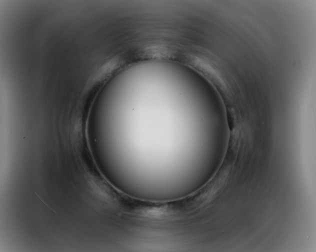 X0000088130306200705211121