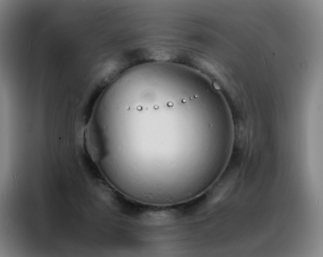 X0000088130307200705211121