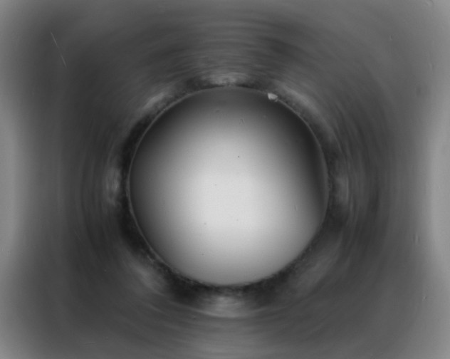 X0000088130308200705211121