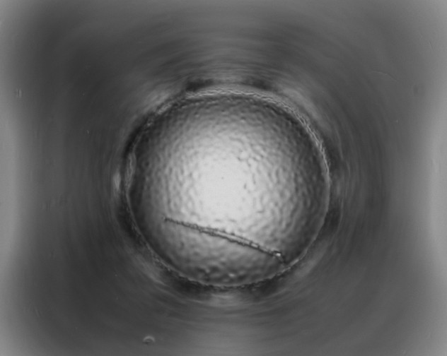 X0000088130309200705211121