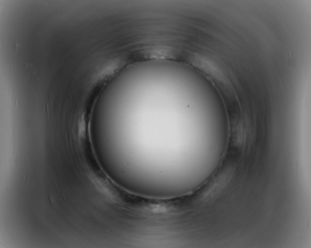 X0000088130310200705211121