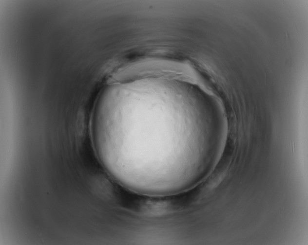 X0000088130311200705211121