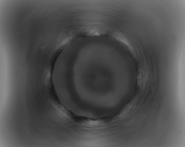 X0000088130314200705211121