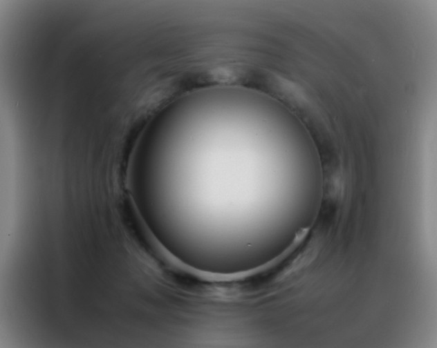 X0000088130317200705211121