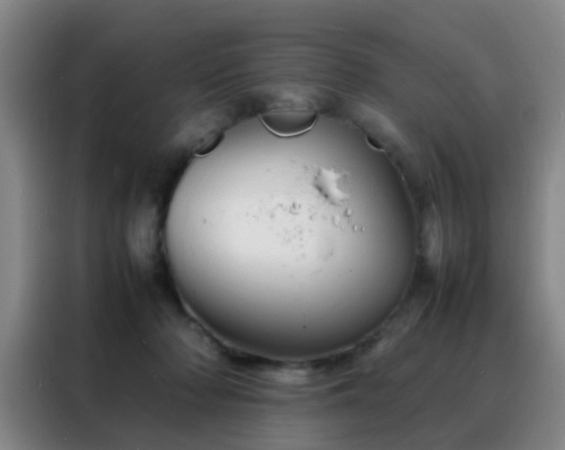 X0000088130318200705211121