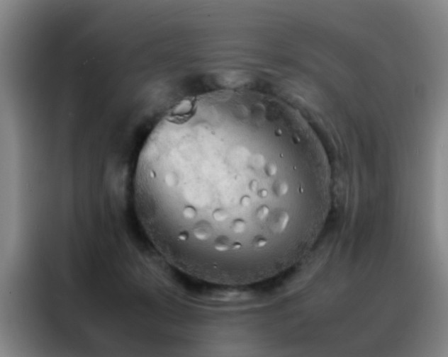 X0000088130319200705211121