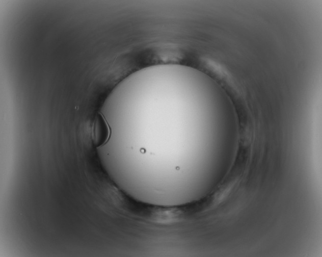 X0000088130321200705211121