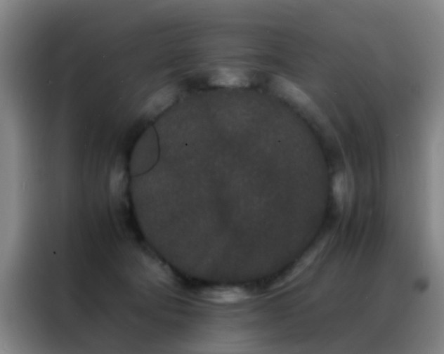 X0000088130322200705211121