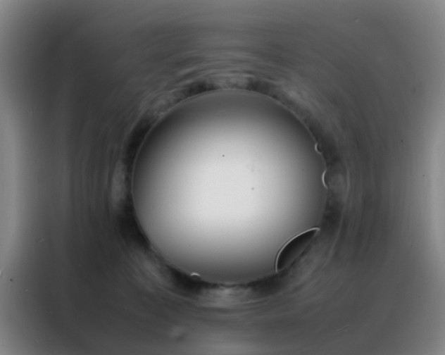 X0000088130323200705211121