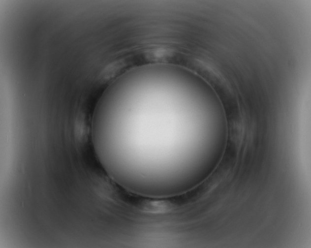 X0000088130324200705211121