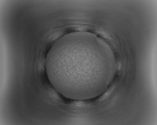 X0000088130325200705211121