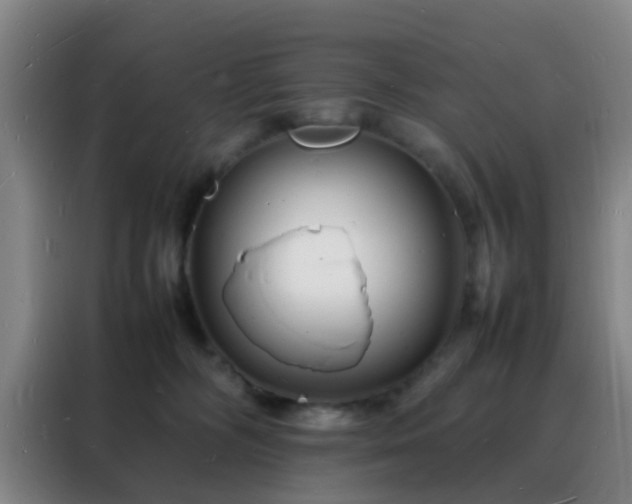 X0000088130326200705211121