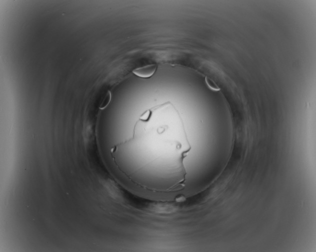 X0000088130327200705211121