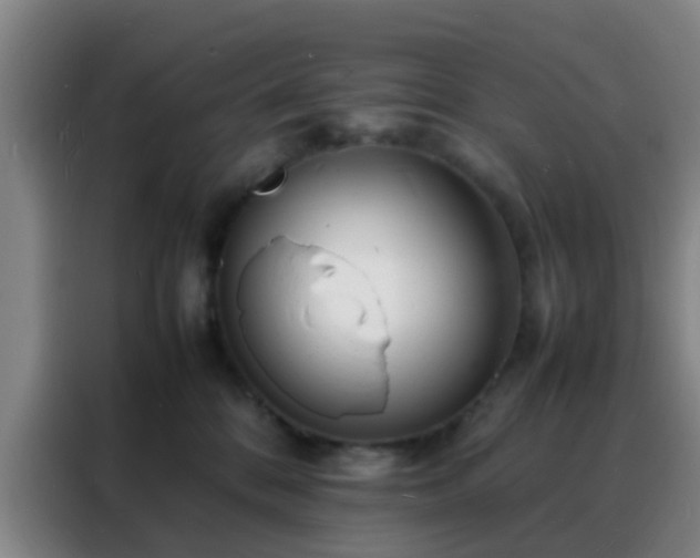 X0000088130328200705211121