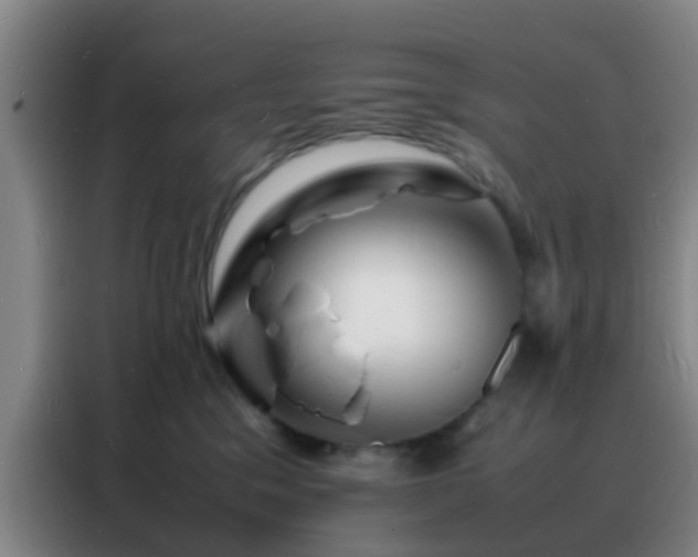 X0000088130329200705211121