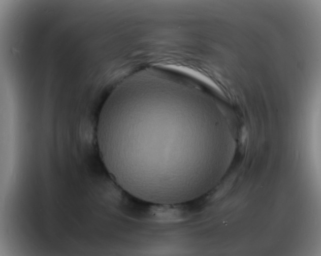 X0000088130331200705211121