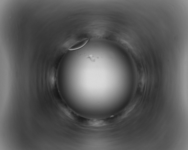 X0000088130334200705211121