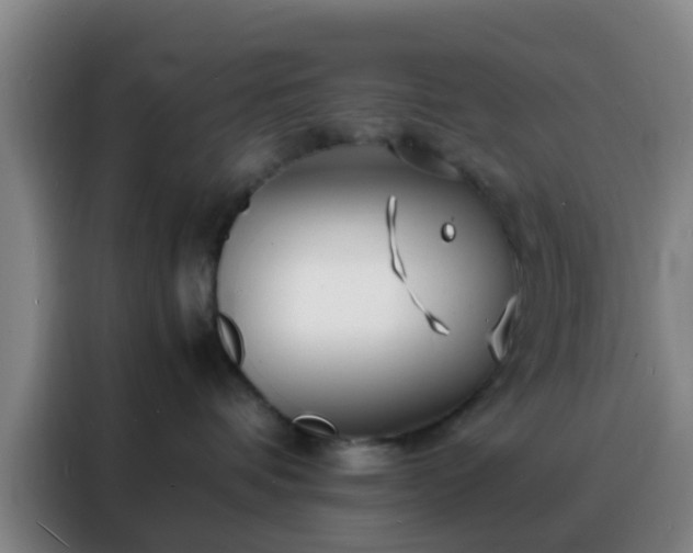 X0000088130336200705211120