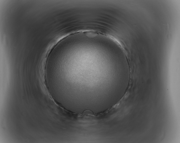 X0000088130337200705211120