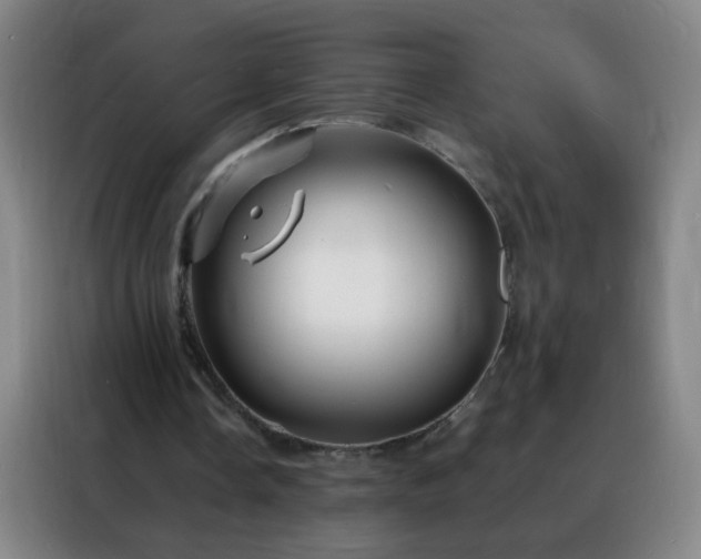 X0000088130338200705211120