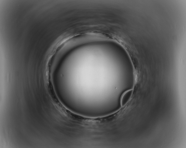 X0000088130339200705211120