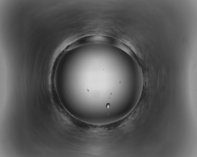 X0000088130340200705211120