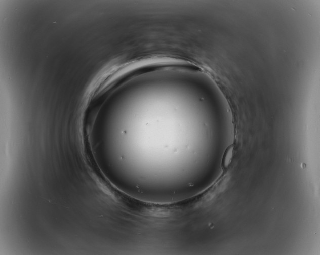 X0000088130341200705211120